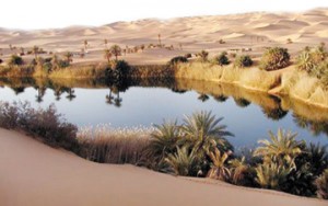 LAKES IN SAHARA DESERTS