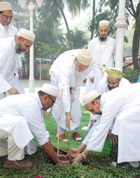 Tree-Planting Drive by Burhani Foundation