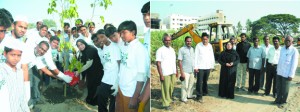 Planting Hope for a Green India