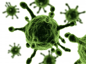 MERS Virus and What it brings to One’s Mind