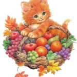 Frooty the Kitten’s Fruity Message!