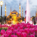 World Tulip Summit Award for Istanbul Municipality