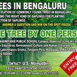 Tree Walk by U S Moinduddin
