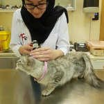 Dr. Noor Ezzat Fatairji – First Saudi Woman Vet