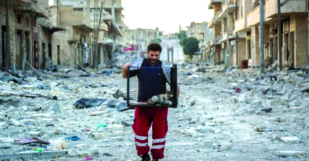 Syria’s ‘Cat Man’ brings  Hope to Abandoned Animals