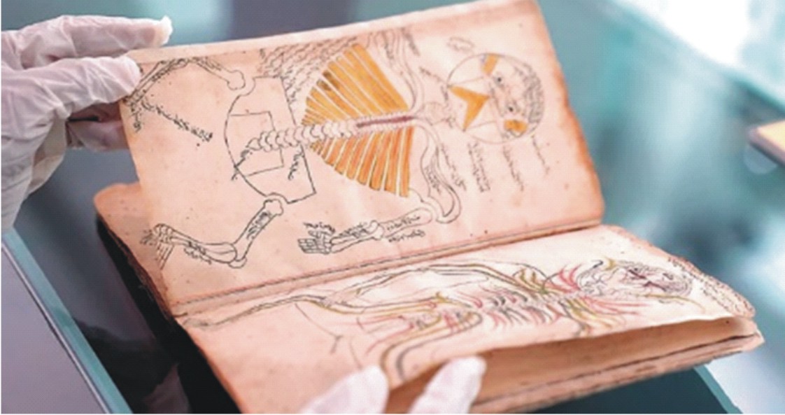 King Abdulaziz Public Library Acquires  Rare Islamic Medical Manuscripts