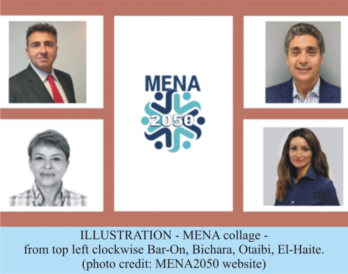 MENA2050: Fostering Peace through  Grassroots Collaboration