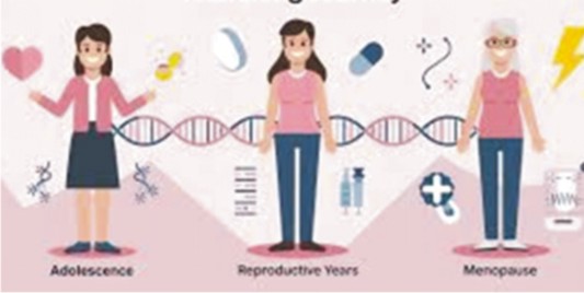 Women’s Health: A Journey Through Life’s Stages